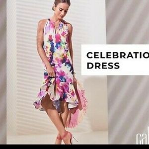 Cabi Celebration Dress